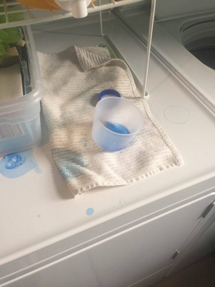 13015026_10153559967878339_968024865_n